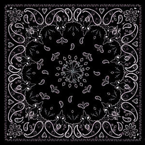 Paisley Black, Bandanna